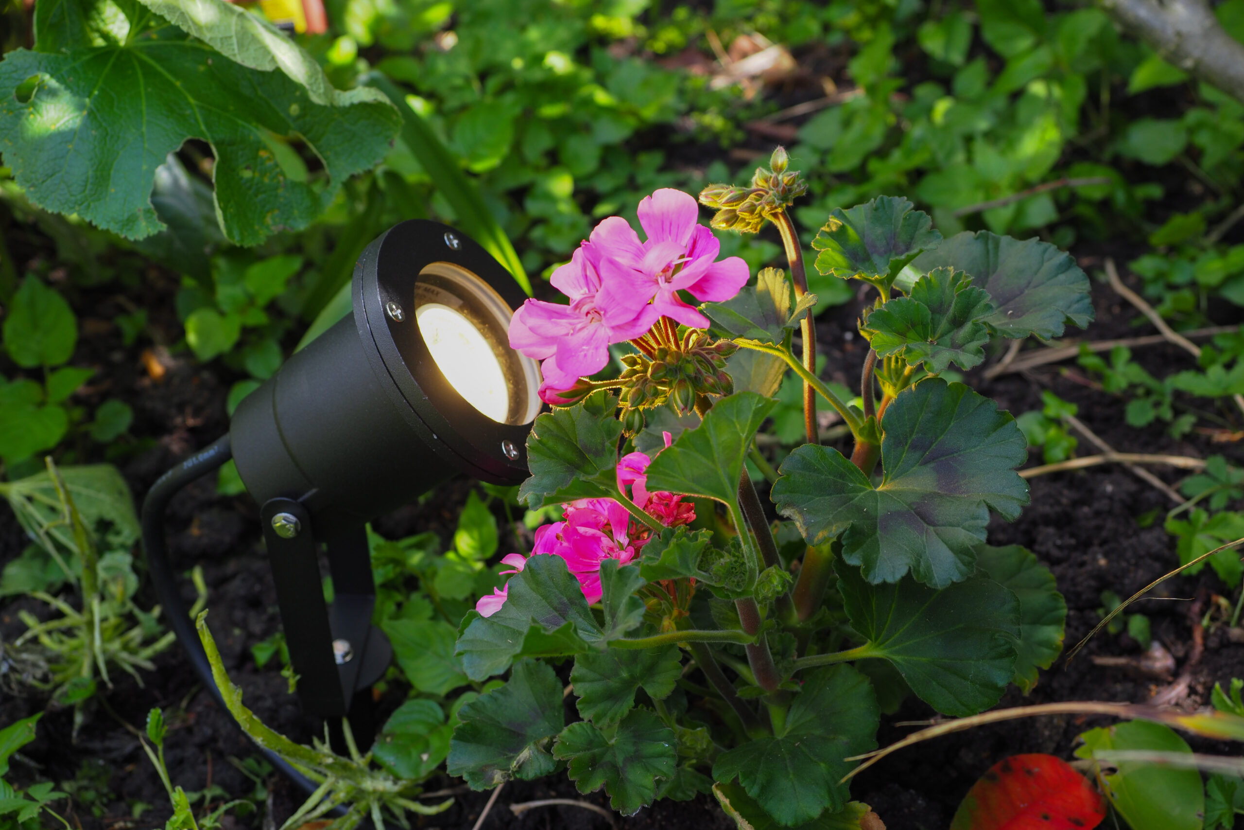 Exceptional Garden Lights Installation Domestic Electrical Services In Poole Christchurch Littledown Boscombe Bournemouth - Bright Electricians in Bournemouth